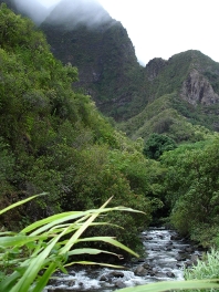 iao
needle on Maui