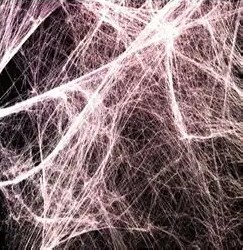 fascia close up photo